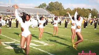 UAPB Band Homecoming Halftime Show 2017 [upl. by Aeila]