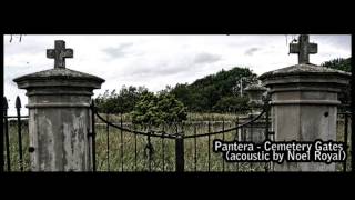 Pantera  Cemetery Gates acoustic Cover by STIVAN [upl. by Alekram348]