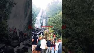 Amboli Waterfall  Amboli Ghat  amboliwaterfall ambolighat youtube [upl. by Fedirko358]