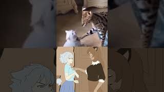 Cute Cats Anime vs Real Life [upl. by Bekha]