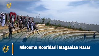 Misooma Kooridarii Magaalaa Harar [upl. by Oidualc]