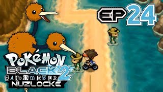 Pokemon Black 2 Randomizer Nuzlocke  Part 24  Beach Day [upl. by Nnaeus]