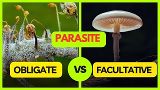 Obligate Parasite  Facultative Parasite  Facultative Saprophyte  Plant Pathology [upl. by Thorsten417]