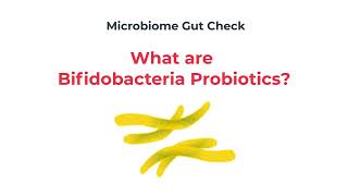 Bifidobacteria Probiotics Explained [upl. by Aray]