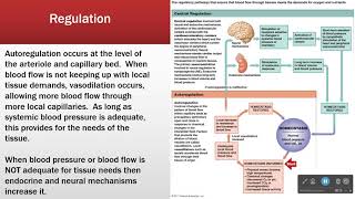 Cardiac Output and Its Regulation [upl. by Aihtenak470]