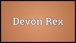 Devon Rex Meaning [upl. by Pinter]