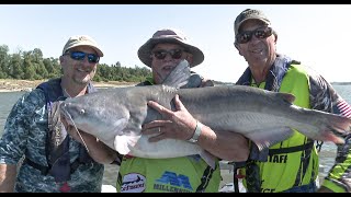 MS Outdoors S34 E07  Charlie Capps WMA Duck Hunt Blue Catfish on the Mississippi River [upl. by Cass117]