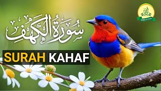 Surah Kahf Revealed Secrets to a Life of Peace and Protection [upl. by Yeslaehc]