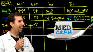 Liver Diseases Explained Clearly Acute vs Chronic Hepatic Diseases [upl. by Evelinn]