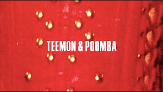 ESC081  Teemon amp Poomba  Dreams Driver EP [upl. by Emersen915]