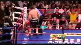 Pacquiao vs Margarito Fight Highlights [upl. by Mclyman45]