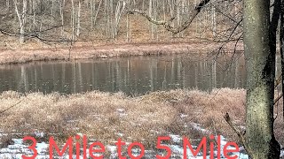 Hiking the North Country Trail White Cloud Michigan [upl. by Acirderf]