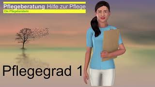 Pflegegrad 1 [upl. by Telford]