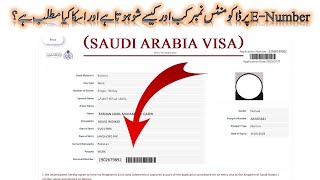 Documents Number Ka Matlab Kya Hota Hai  Document Number Show On E number  Document Number On Visa [upl. by Bottali]