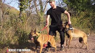 ENTRAINEMENT MALINOIS SIMPLE EFFICACE [upl. by Sevart]