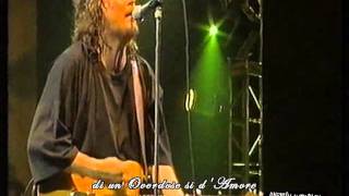 Zucchero  Overdose damore Live 1995 [upl. by Waylon]