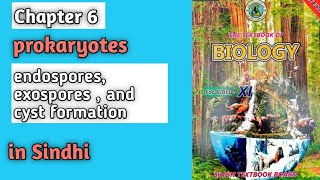 Bacterial spores and cyst formation class 11 biology Sindh board chapter 6 prokaryotes [upl. by Temp560]