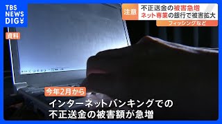 インターネットバンキング不正送金被害が2月から急増 警察庁が注意呼びかけ｜TBS NEWS DIG [upl. by Hicks]