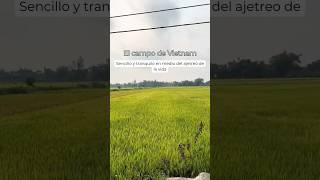 ¡Descubre la increíble belleza del pueblo vietnamita hellovietnam [upl. by Melisent]