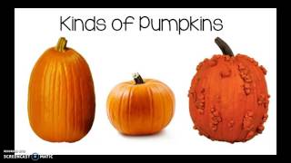 All About Pumpkins [upl. by Constance]