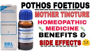 POTHOS FOETIDUS MOTHER TINCTURE HOMEOPATHIC MEDICINE BENEFITS amp SIDE EFFECTS [upl. by Deborath]