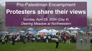 Protesters Share Their Views at Deering Meadow ProPalestinian Encampment  April 28 2024 Day 4 [upl. by Pippo]