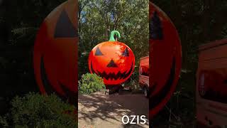 For Halloween let the OZIS Inflatable Pumpkin be the center of your celebration Not to be missed [upl. by Constantine]