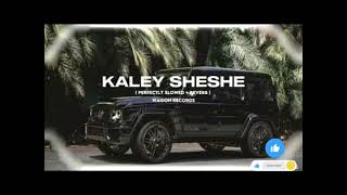 kaley sheshe song dj remix [upl. by Nissie]