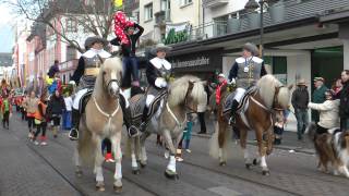 Fastnacht Mainz 2013  Parade der närrischen Garden [upl. by Oisorbma412]