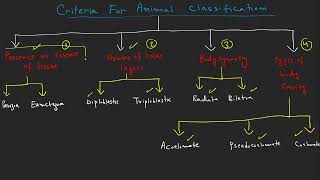 Criteria for animal classification xi Biology NBF federal board [upl. by Dnomhcir]