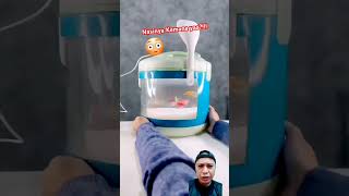 RIce Cooker atau Aquatium funny aqurium trending shorts short viralshorts [upl. by Nima226]