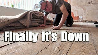 Finally The Floorboards Go Down  24V013 [upl. by Kataway795]