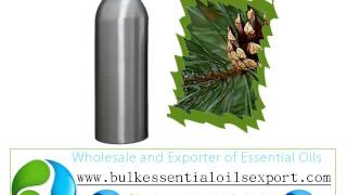 Pine Needle Essential Oil Exporter Suppliers Wholesale [upl. by Ruyle]