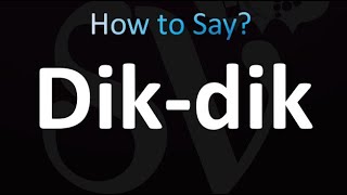 How to Pronounce Dikdik Correctly [upl. by Nibram]