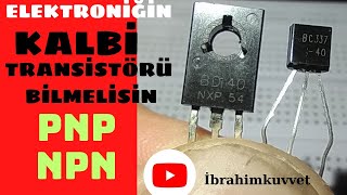 TRANSÄ°STÃ–R NEDÄ°R NASIL Ã‡ALIÅžIRHFE KAZANCINPN VE PNP TRANSÄ°STÃ–RLER [upl. by Mayhew488]