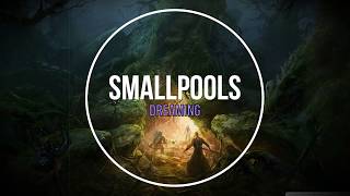 Smallpools  Dreaming Tradução [upl. by Wahl878]