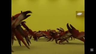 Crab Rave  Backrooms édition [upl. by Roley]