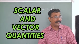 Scalar And Vector Quantities [upl. by Earal]