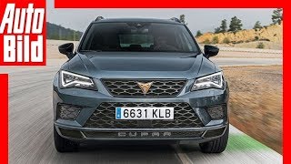 Ateca Cupra by Seat 2018 Erste Fahrt  Test  Review [upl. by Oiromed]