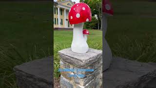 Chainsaw Carved Mushrooms Displayed on the pillars of The Florence Griswold Museum [upl. by Iral]