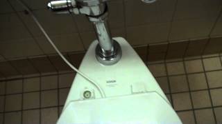 Kohler Toilet at Walmart [upl. by Mcguire]