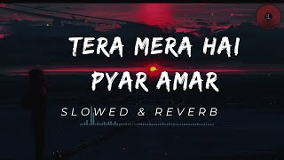 Tera Mera Hai Pyar Amar  Ishq Murshid OST  Slowed amp Reverb  Best Music  Z Music [upl. by Millisent882]