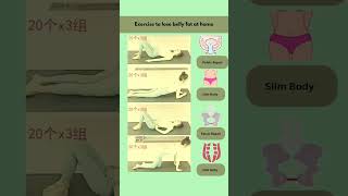 Exercise to lose belly fat at home🏠 bellyfat exercise workout bellyfatloss fitness yoga home [upl. by Aracal]