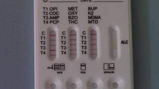 ALLTEST DSD8135 saliva test kits part 4 Results [upl. by Koeppel]