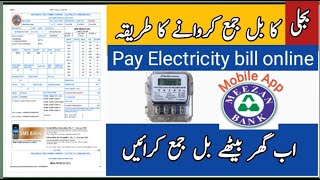 How to pay Electricity bill through Meezan App  Electricity bill payment online  Meezan Bank [upl. by Nishi]