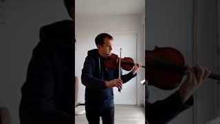 Lettre à Élise  Beethoven  violin cover [upl. by Nerreg]