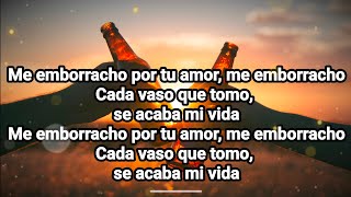 Me Emborracho Por Tu Amor  Armonía 10 Karaoke Original [upl. by Aneehsak467]