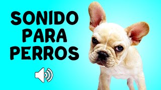 Sonido para PERROS [upl. by Nivej]