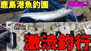 【ゆっくり釣行動画】2483 3連続ボウズになったので、鹿島港へシマアジを津に行く！も激渋釣行に・・・ [upl. by De]