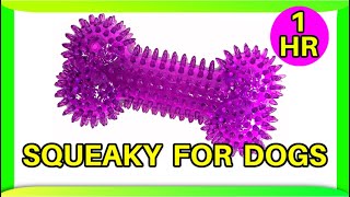 Squeaky toy sounds 1 hour dogs [upl. by Ajit]